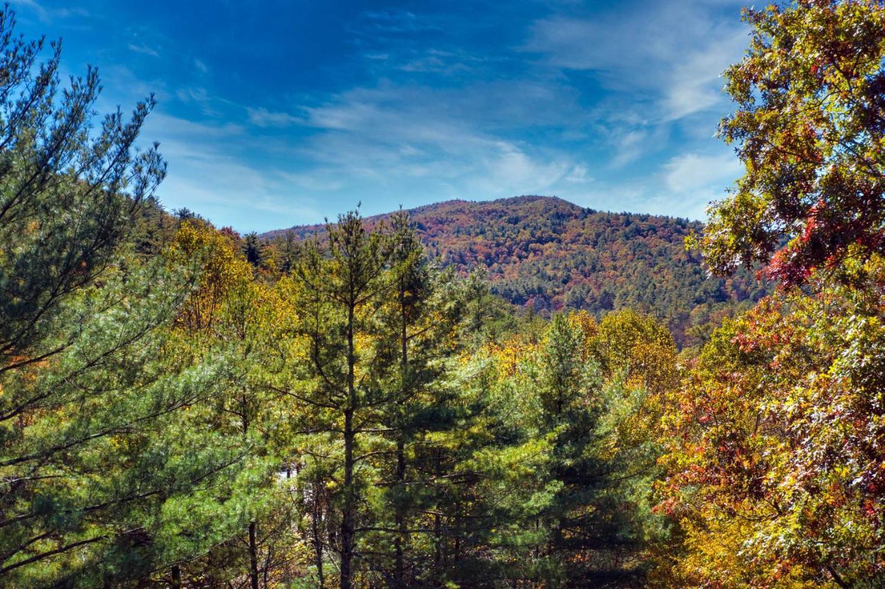 Heavenly Bearadise Cabin In Cashiers, Nc! Luaran gambar